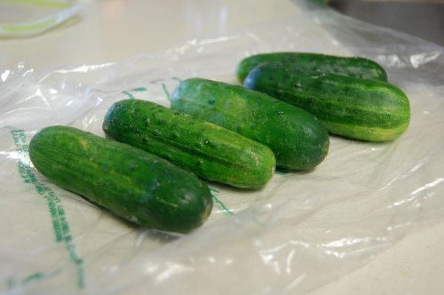 pickle cucumbers