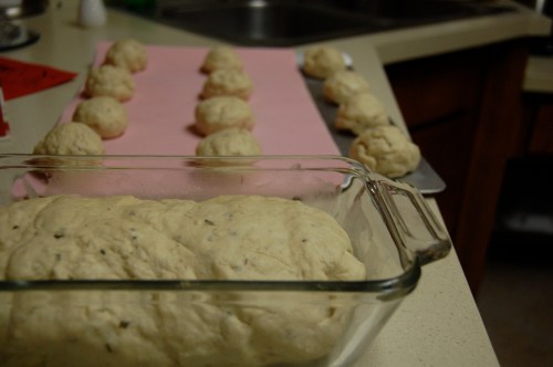 First rise Bread loaf and rolls after rising once