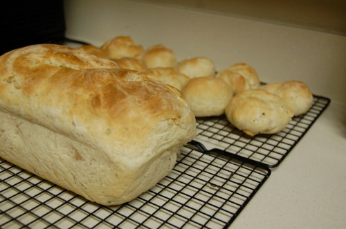 Potato bread Homemade potato bread and rolls cooling on a metal rack