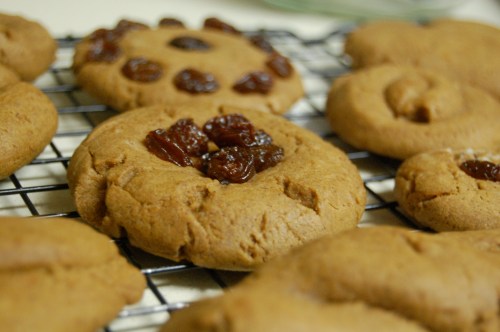 homemade gingerbread cookies with raisins