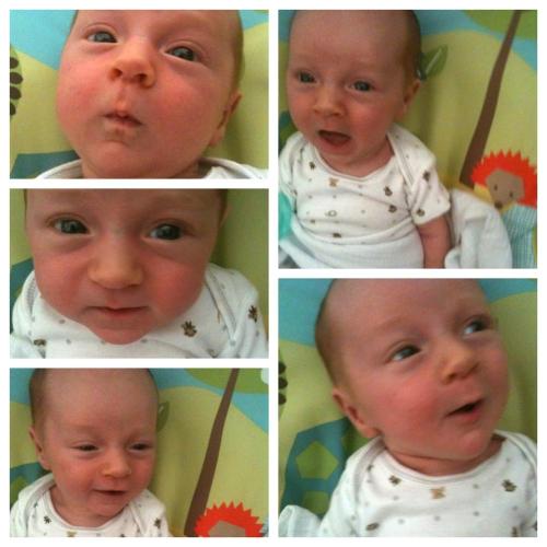 Baby Lightning Faces